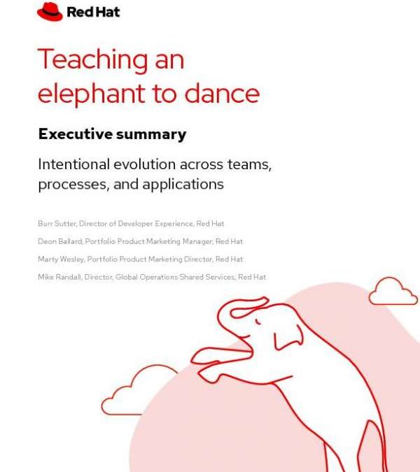 Executive Summary — Teaching an Elephant to Dance